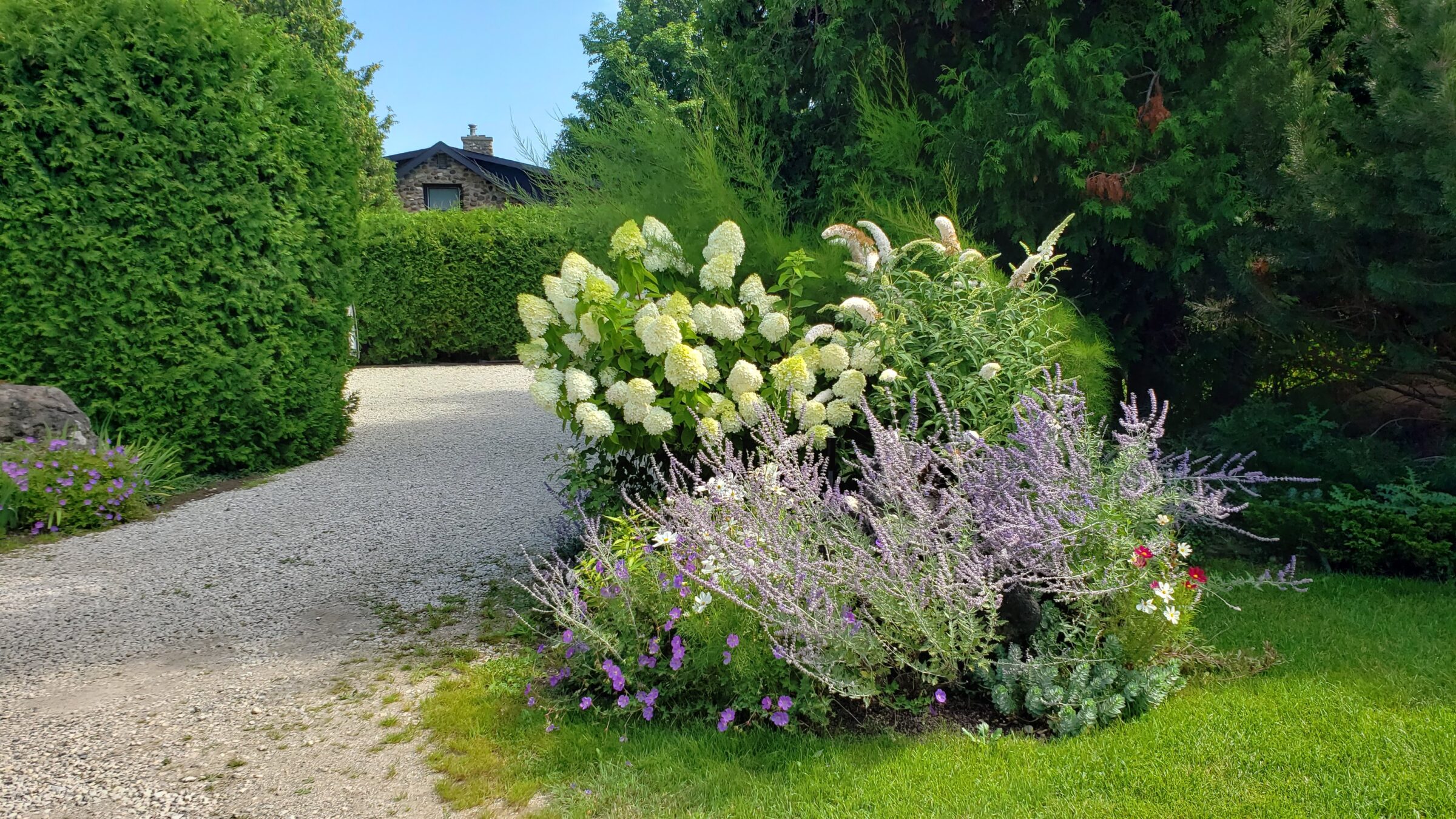 A well-maintained garden with lush greenery, featuring a gravel pathway, vibrant flowers, and neatly trimmed hedges on a bright, sunny day.