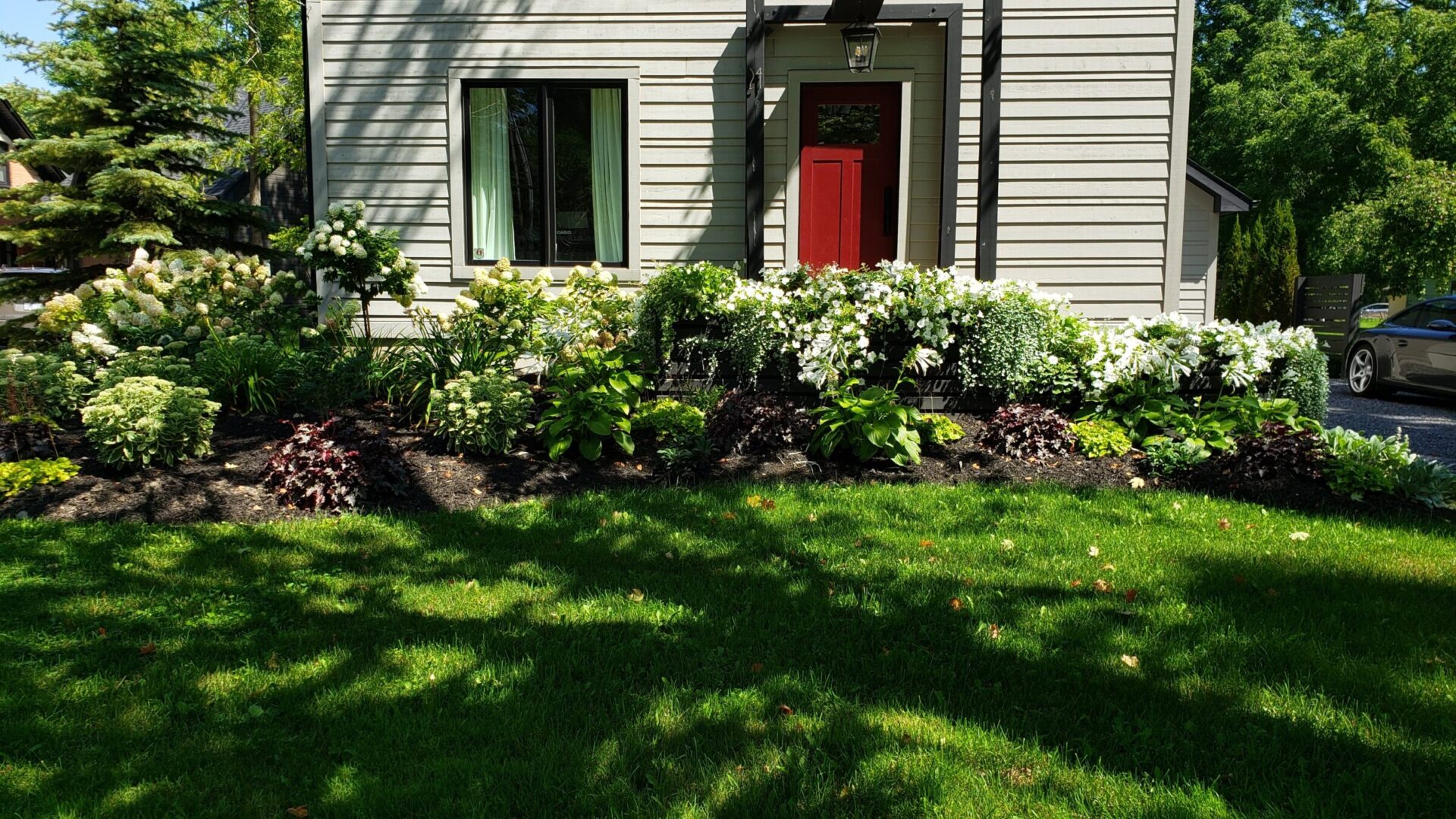 This image shows a well-maintained garden in front of a house with a red door, lush greenery, flowering shrubs, and a clear blue sky.