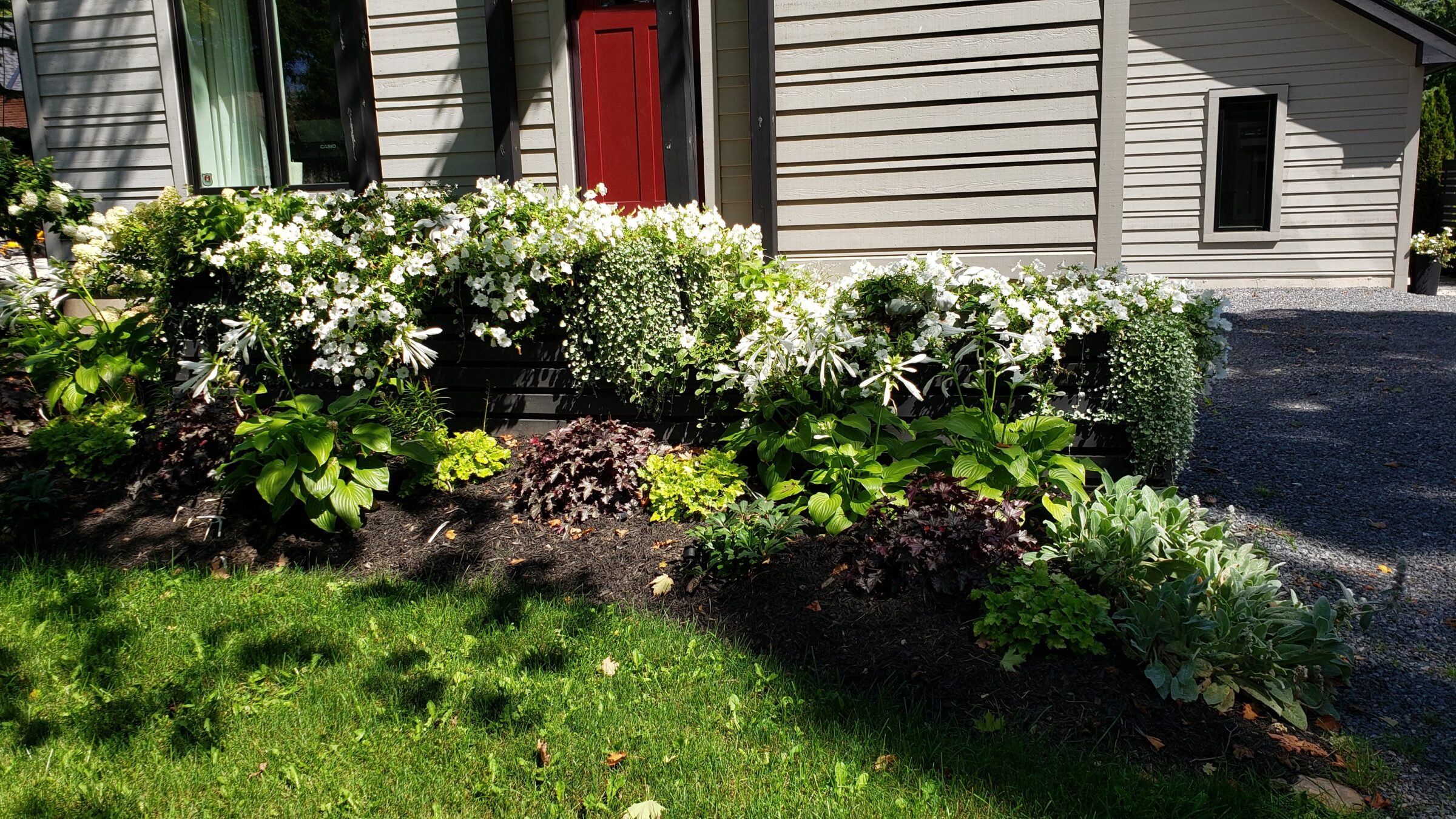 A well-maintained garden with diverse plants in front of a house with a red door. Bright sunlight enhances the green grass and colorful foliage.