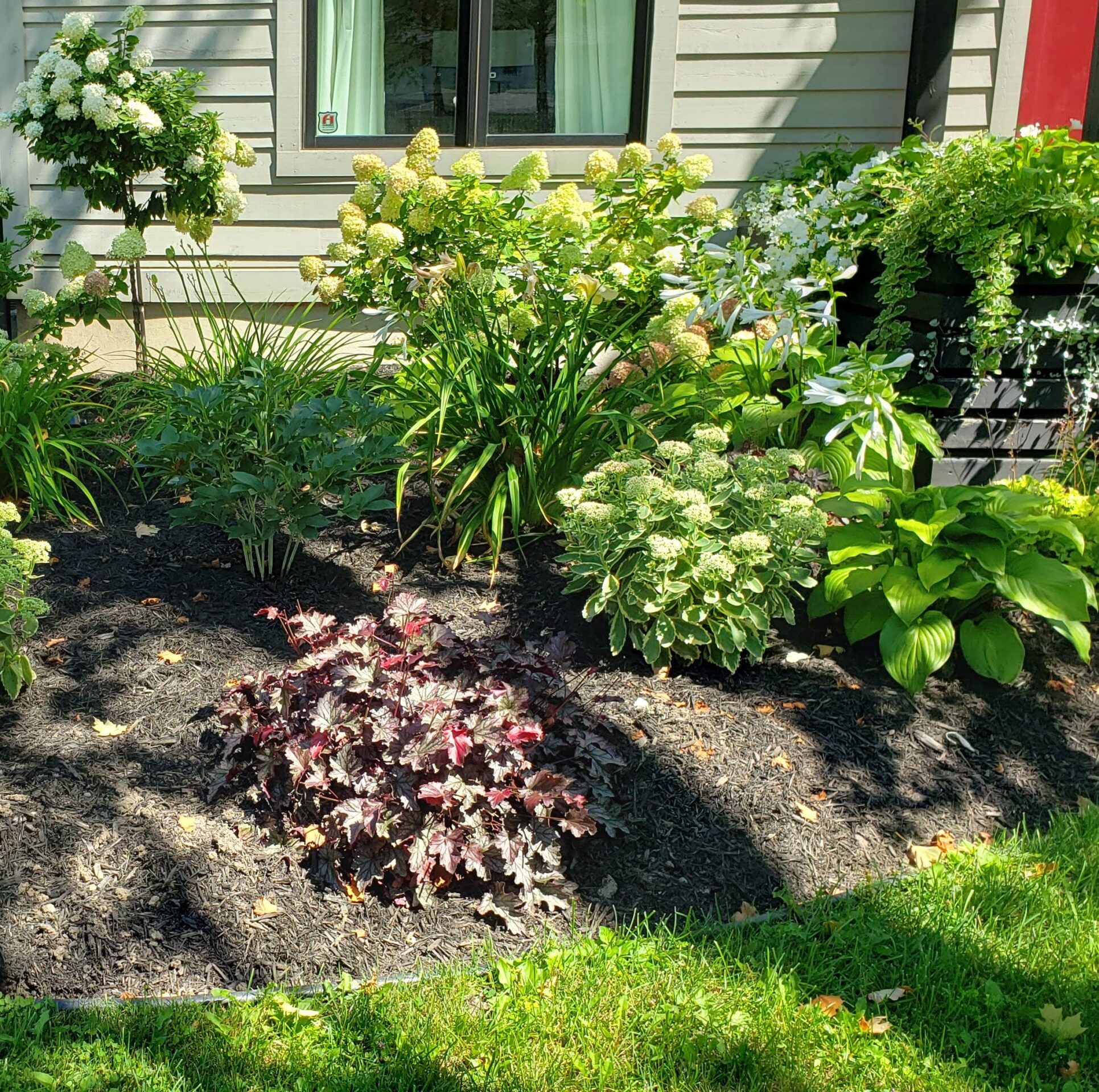 A well-maintained garden with diverse plants, including green shrubs with white flowers, in front of a house with a black railing and red door.