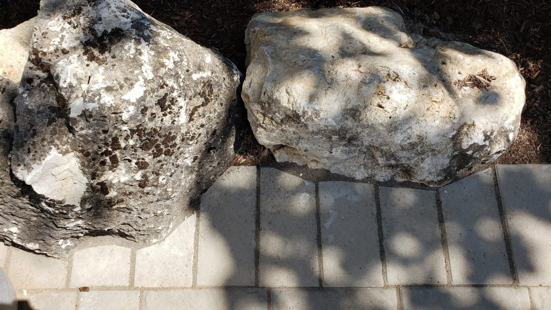 Two large, textured rocks sit adjacent to a paved sidewalk with rectangular tiles, casting shadows in bright sunlight, with mulch visible in the background.