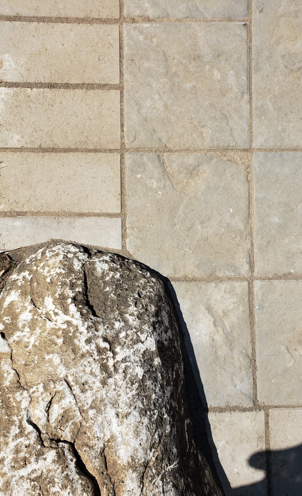 The image shows a textured rock with white spots near patterned tiles, casting a shadow on a sunny day, creating a contrast of textures.