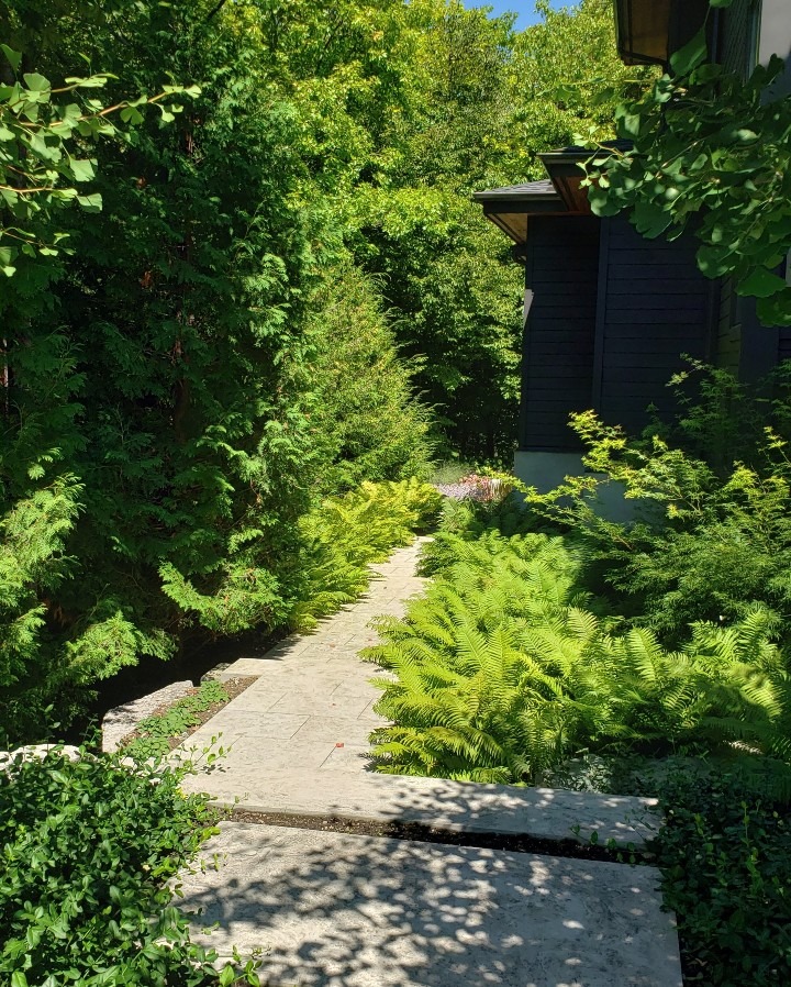 A stone pathway flanked by lush greenery and trees leads up to a house with dark exterior walls, all underneath a clear blue sky.