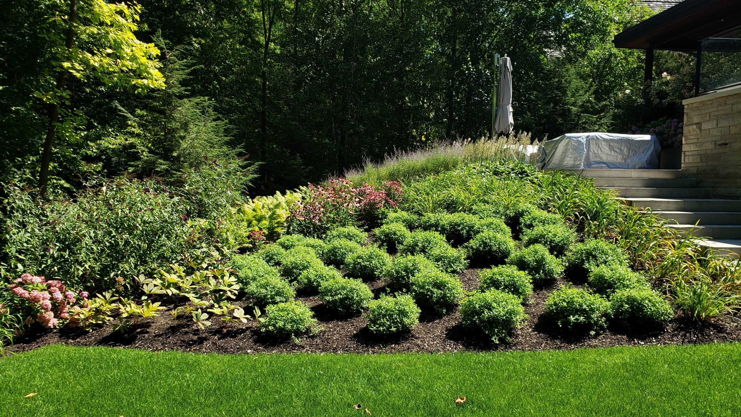 A well-manicured garden with vibrant shrubs and perennials, freshly cut grass, and concrete steps leading to a covered patio area amidst trees.