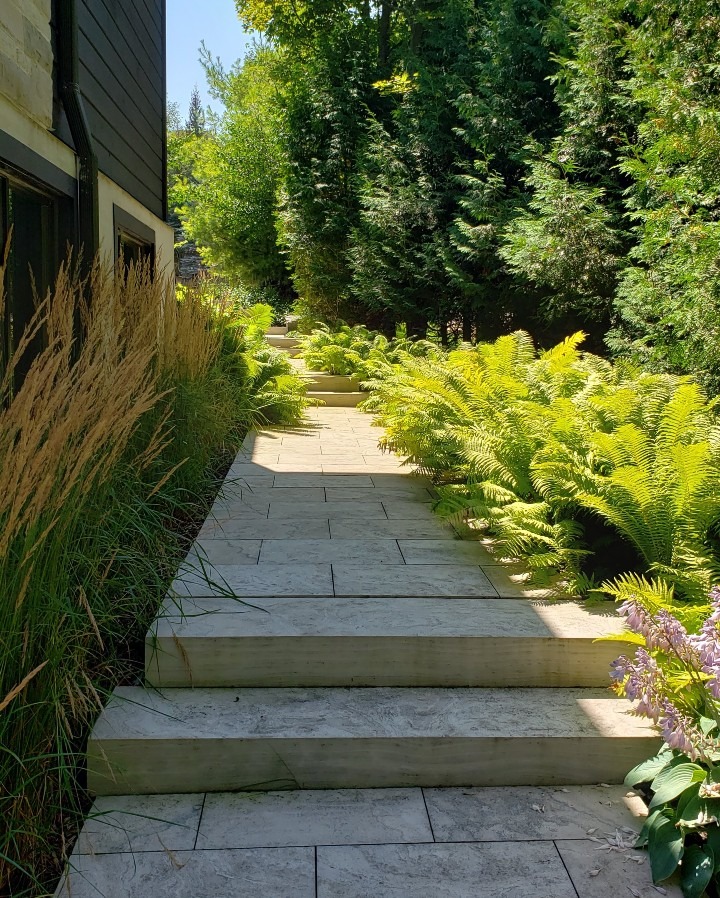 A serene garden pathway lined with lush ferns and grasses under clear skies, flanked by wooden steps and a dark modern building.