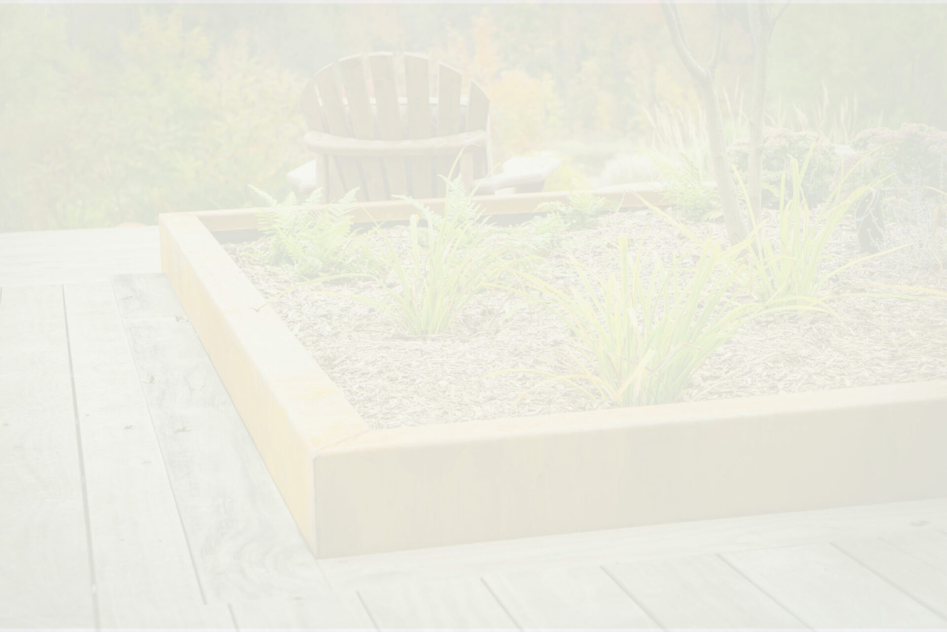 The image shows an overexposed view of an outdoor setting with a raised garden bed, wooden Adirondack chair, and a blurred forest background.