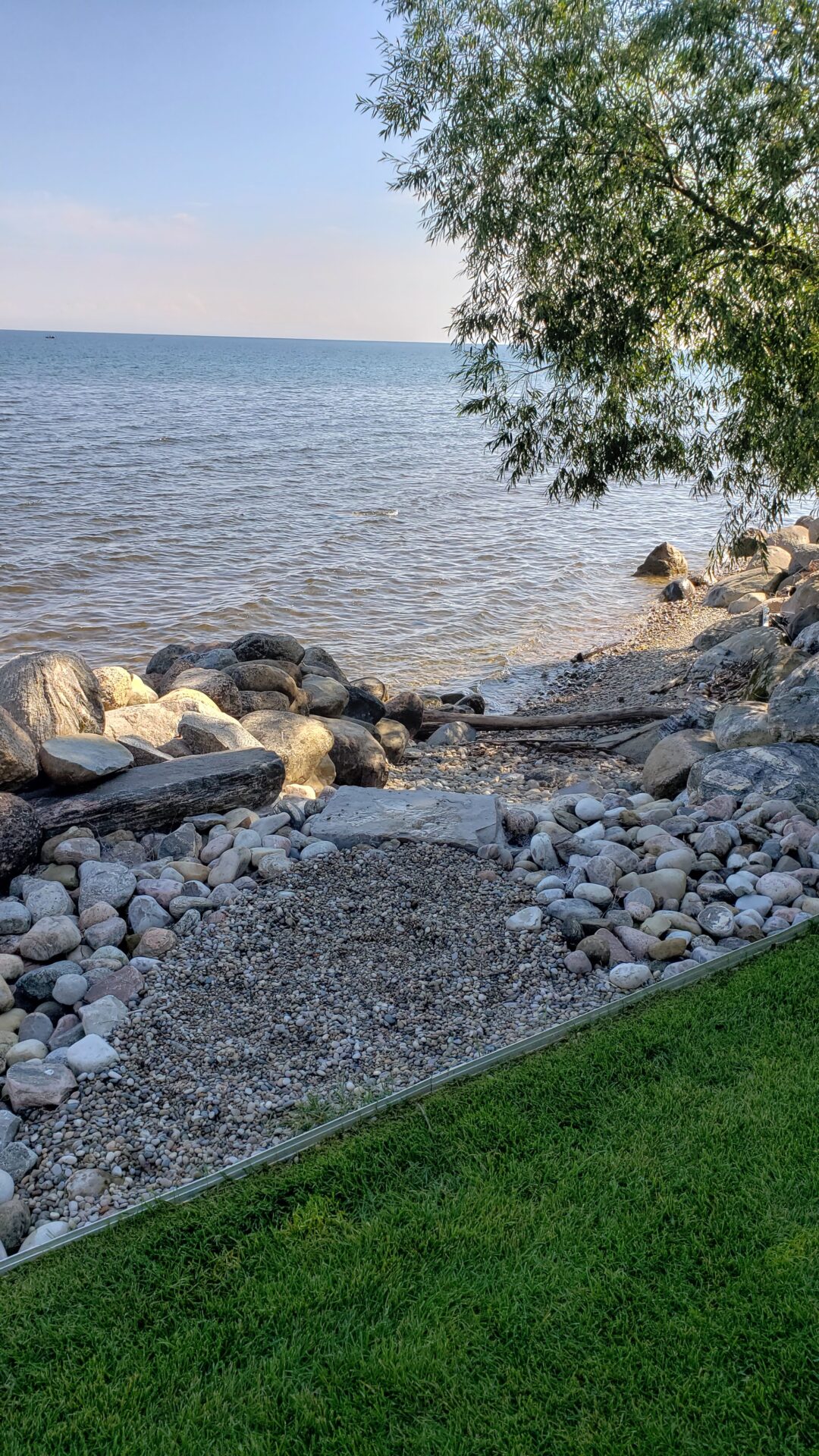 A tree overhangs a rocky shoreline leading into a calm lake under a clear blue sky. Green grass contrasts with the pebbled beach.