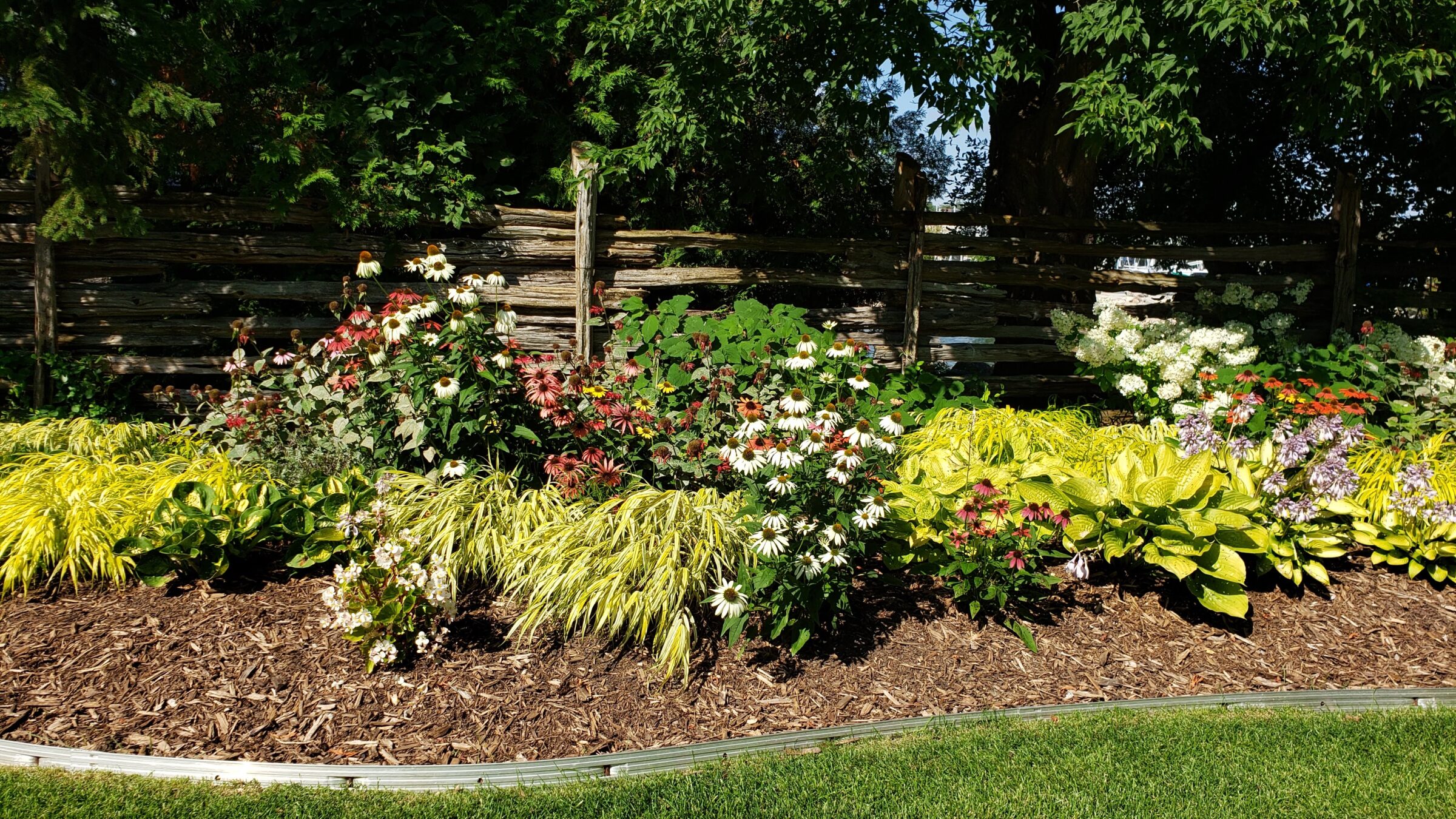 A vibrant garden bed with various flowers and plants, bordered by a rustic wooden fence, under a sunny sky with lush greenery around.