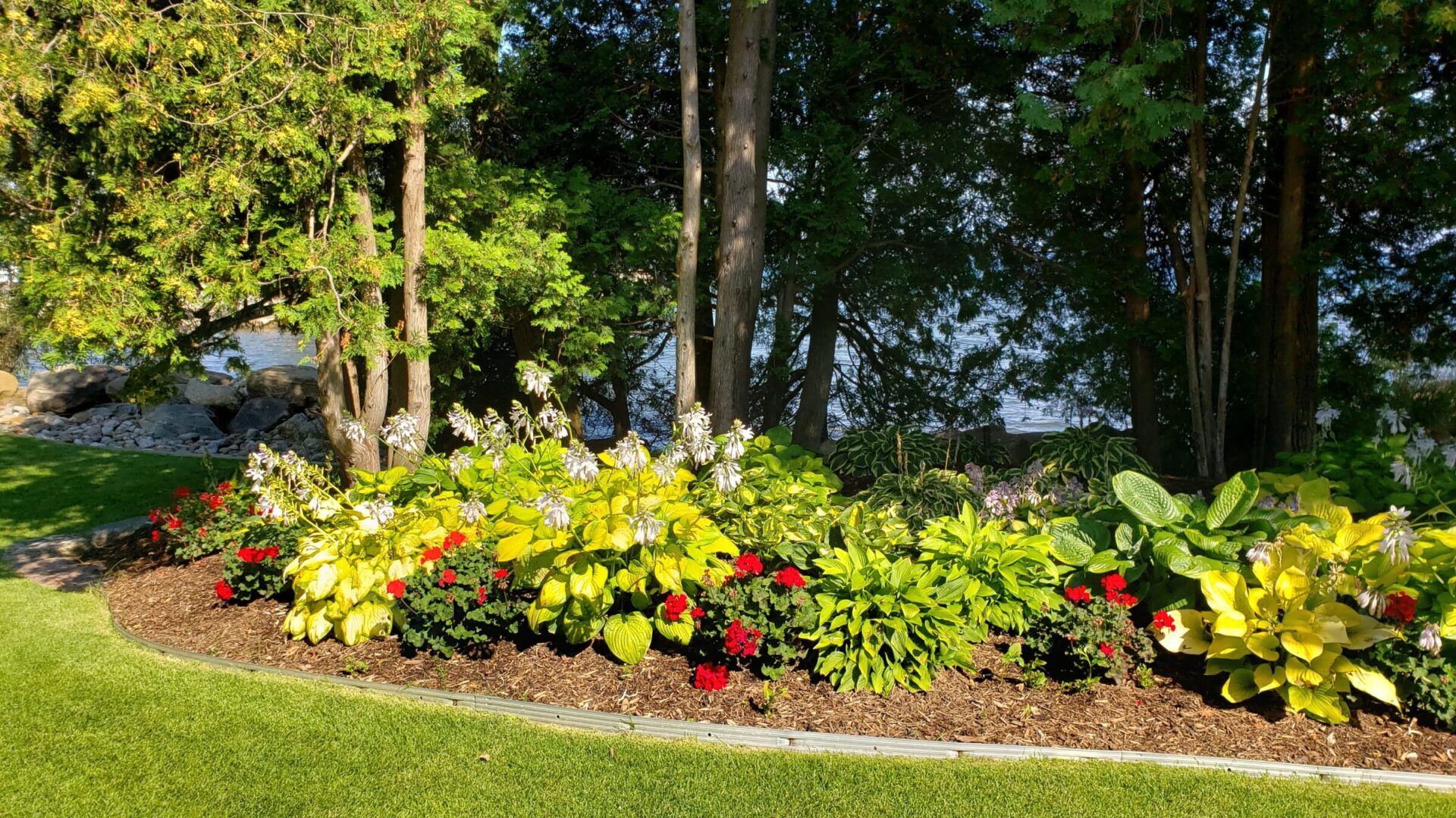 A well-maintained garden with lush greenery, vibrant red flowers, and hostas under tall trees, with a glimpse of water in the background.
