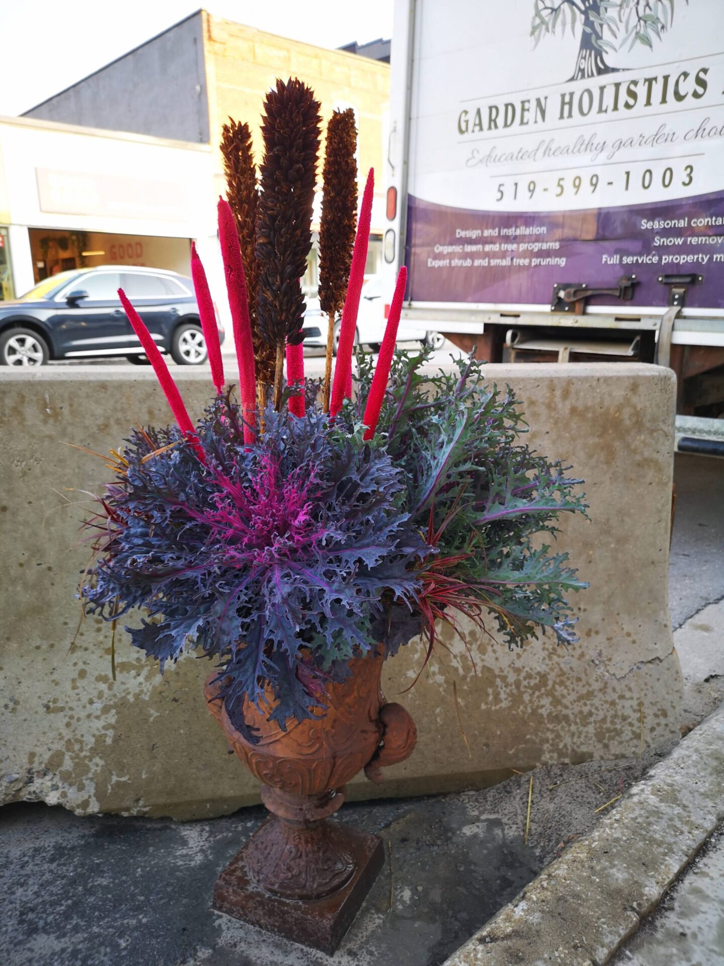 A decorative arrangement with red and brown spikes, purple foliage in a rusted urn, sits on a sidewalk with a truck and building in the background.