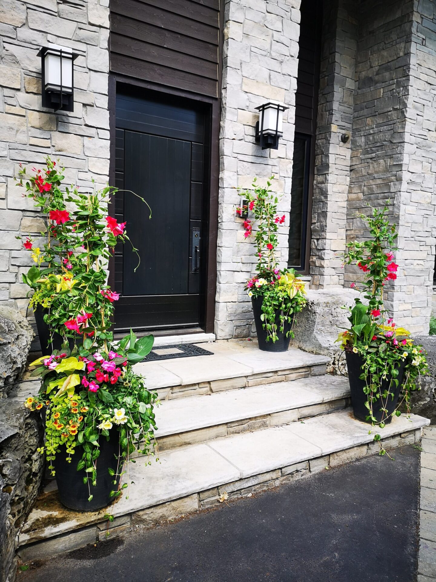The image shows a house entrance with a dark door, stone facade, outdoor lights, and vibrant flowering plants in pots on either side of steps.