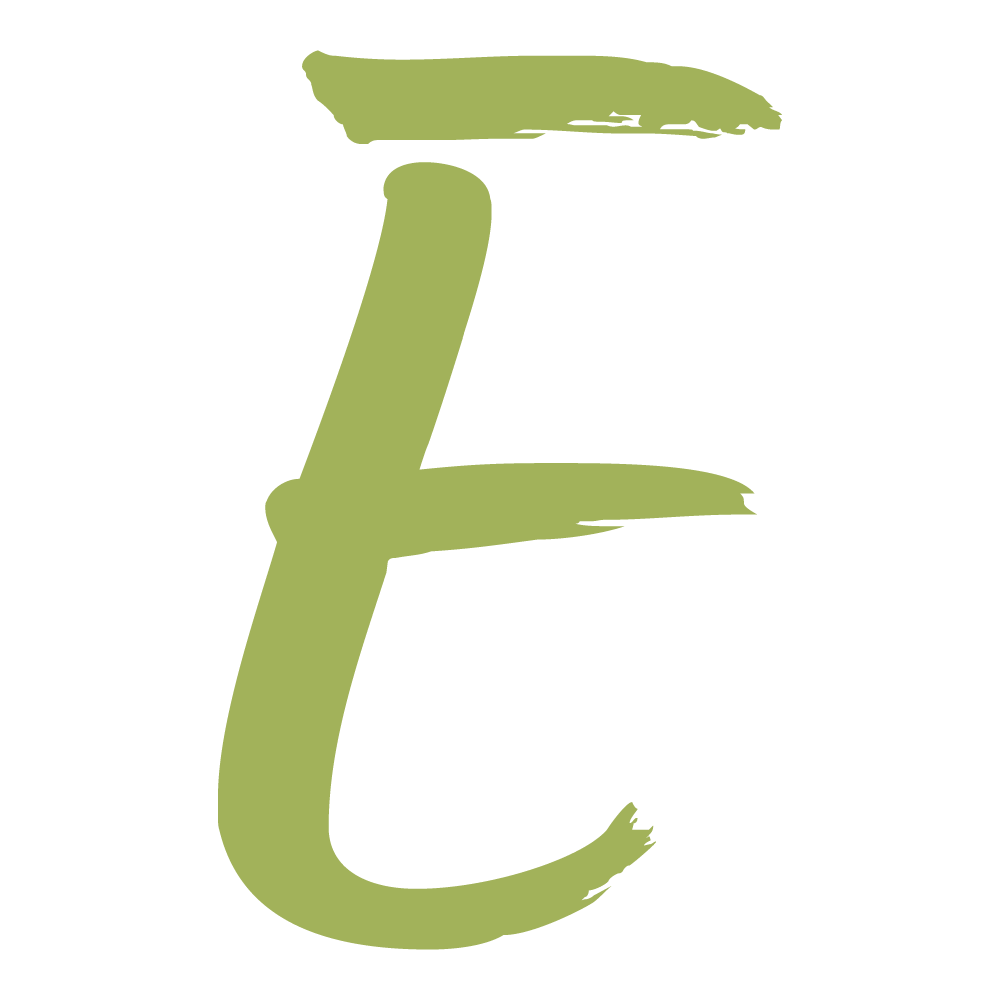 A brush stroke letter E