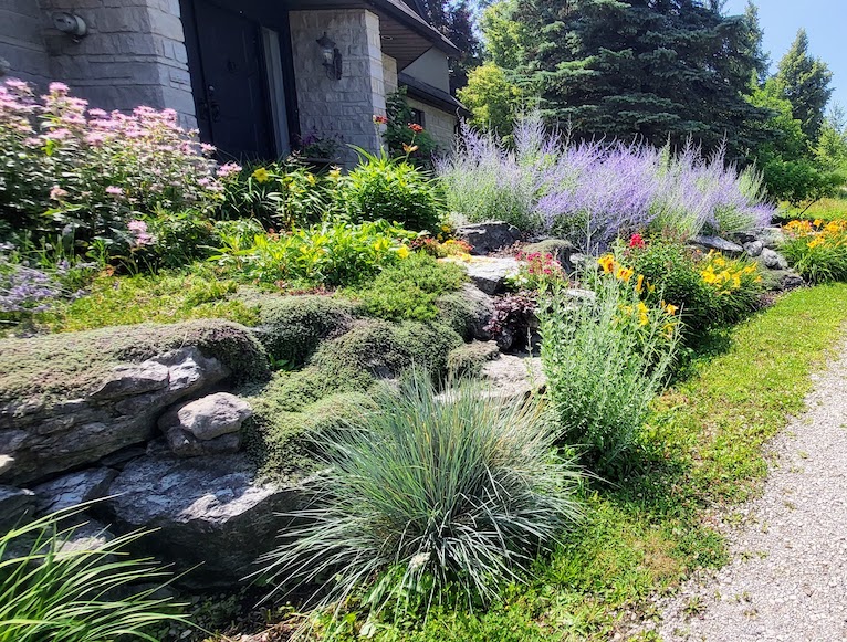 A vibrant garden with a variety of flowers and plants, arranged among rocks, next to a building with a visible black door. Bright sunny day.