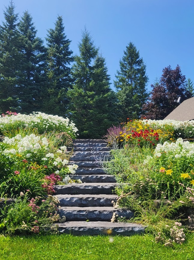 A beautiful garden pathway with stone steps surrounded by lush flowers and greenery under a clear blue sky, leading towards tall conifer trees.