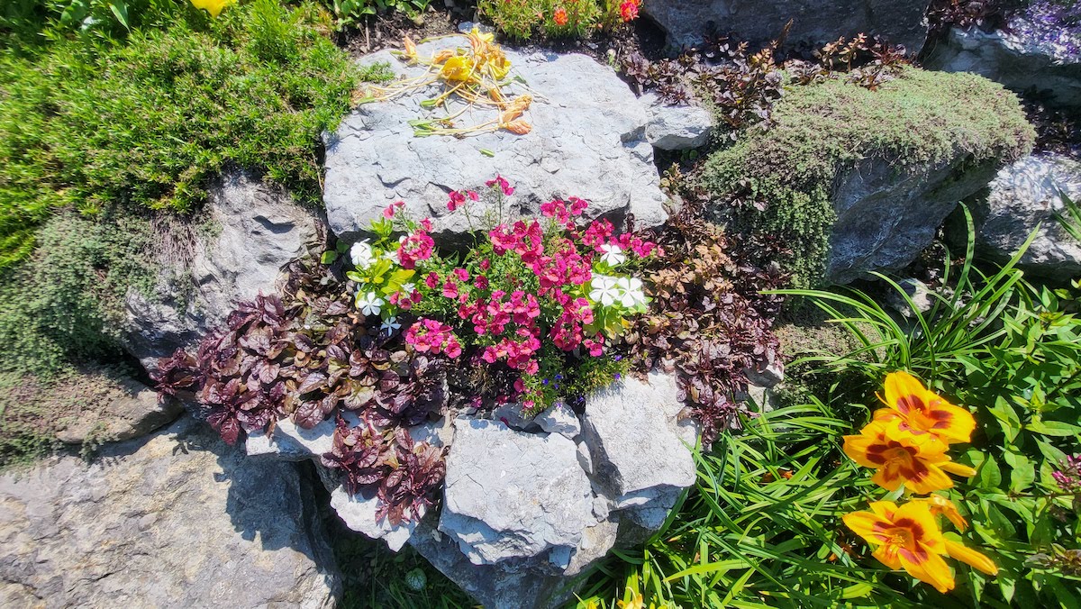A large rock surrounded by a variety of colorful flowers and plants is central in the image, set within a lush, green garden landscape.