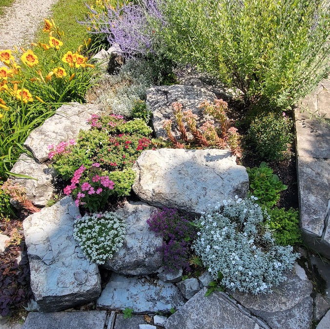 A vibrant rock garden with diverse plants and flowers, including pink blooms, succulents, and orange lilies in the background, bathed in sunlight.