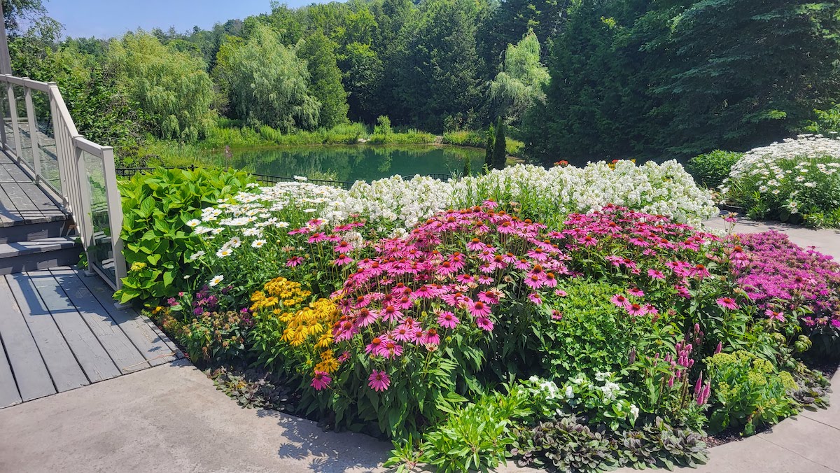 Vibrant flowerbeds with pink, white, and yellow blooms by a wooden bridge leading into a lush green park with a calm pond and trees.