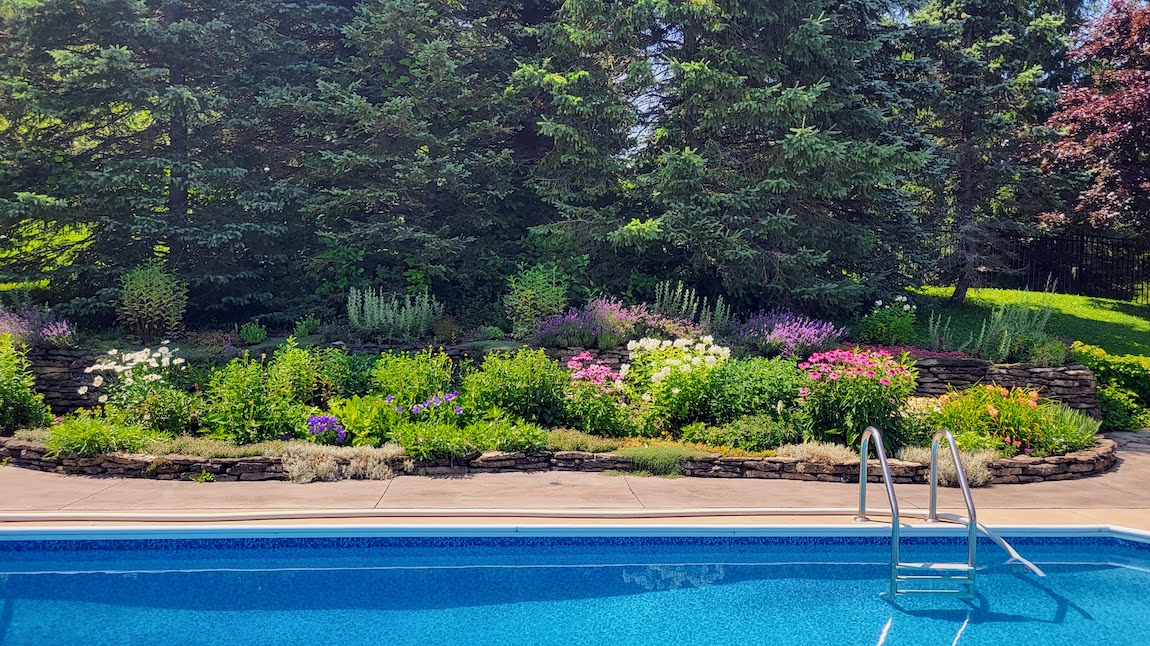 This image features a tranquil backyard with a swimming pool, metal ladder, vibrant flowerbeds, stone walls, evergreen trees, and a clear blue sky.