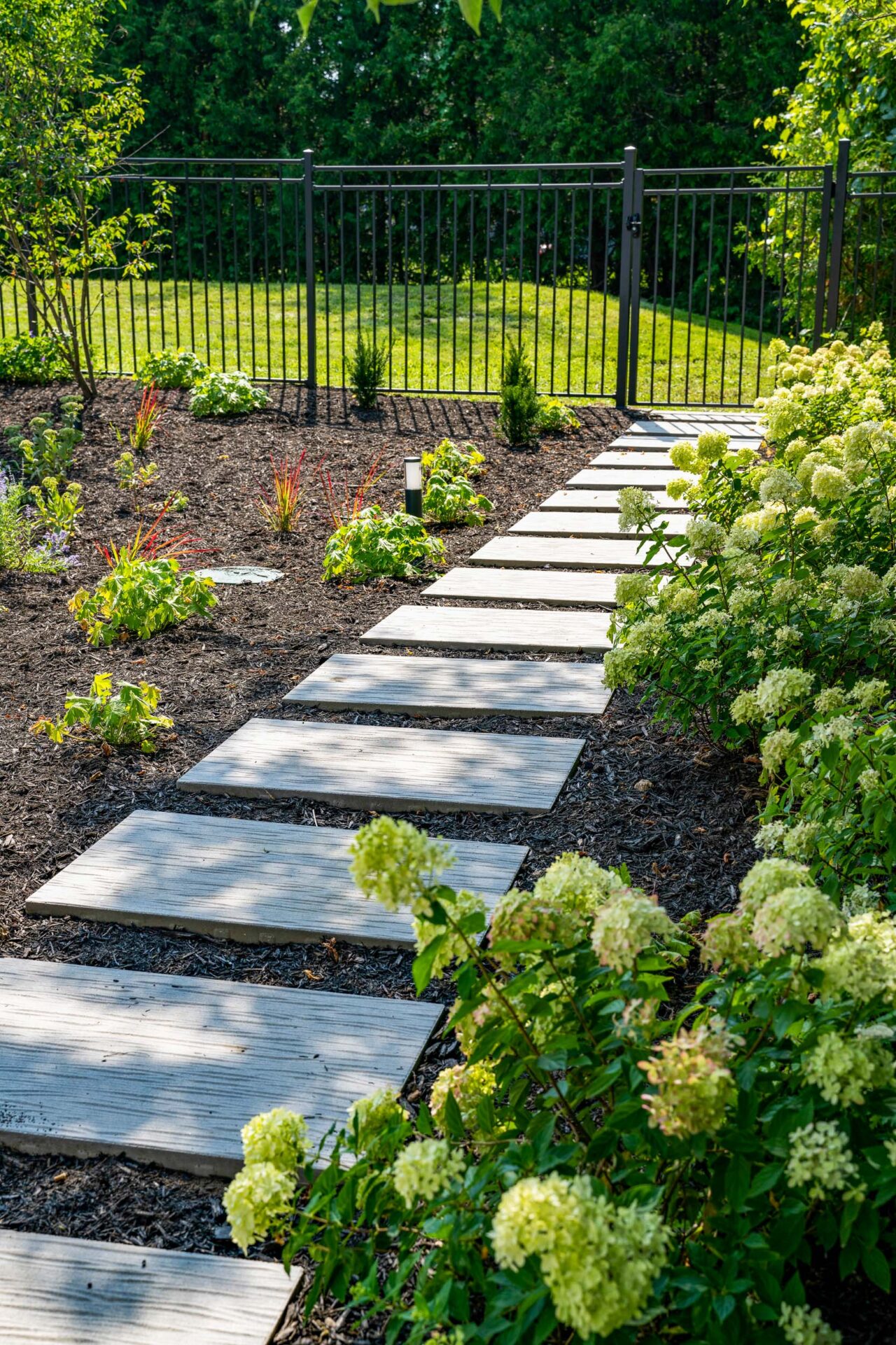 A landscaped garden with a stepping stone path, hydrangeas, freshly planted flowers, shrubs, mulched beds, and a metal fence under a sunny sky.