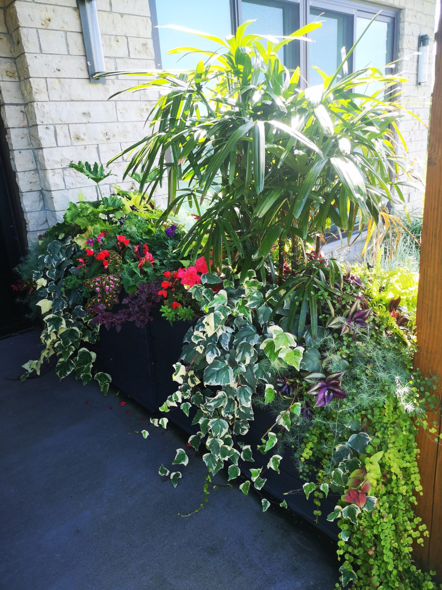 A lush planter with a variety of plants including red flowers and greenery outside a building with a brick facade on a sunny day.