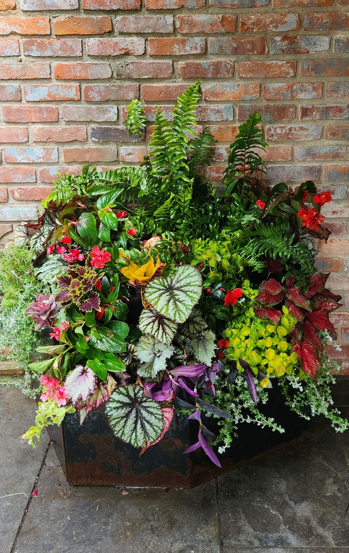 A vibrant planter box with various plants and flowers stands against a brick wall, showcasing a mix of green foliage and colorful blooms.