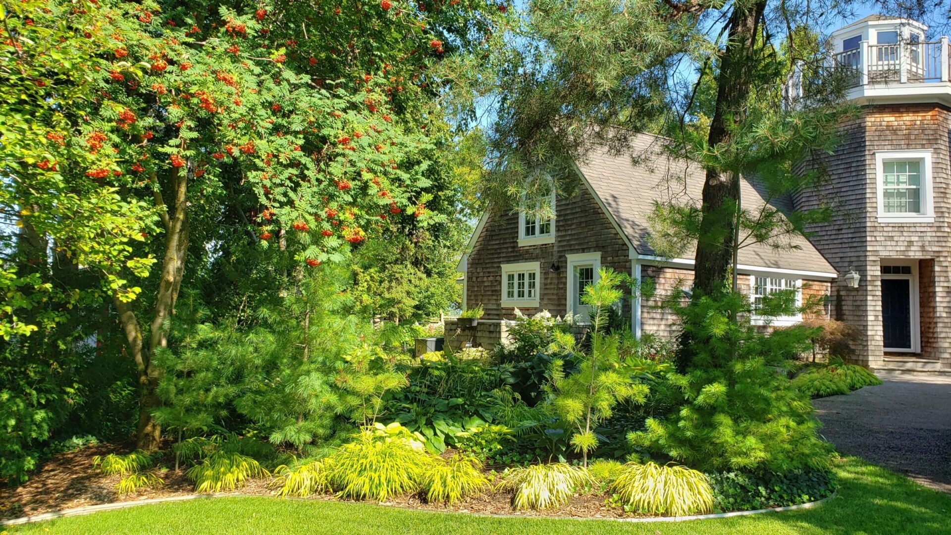 A quaint house with cedar shingle siding is surrounded by lush gardens, manicured grass, and a mature tree with red berries under a clear sky.