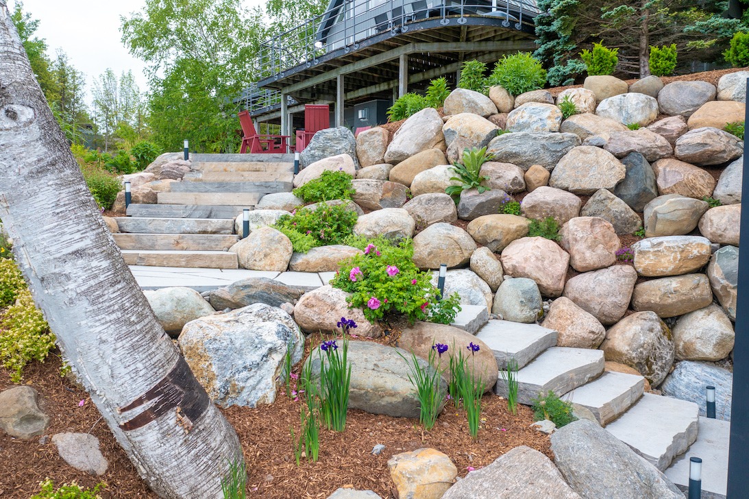 A landscaped garden with large rocks, wooden stairs, blooming flowers, and birch trees leading to a house with red chairs on the deck.