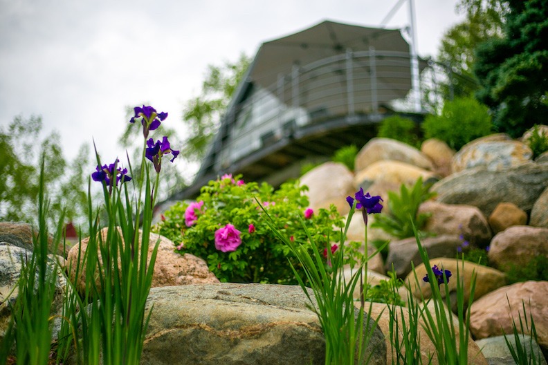 The image shows a vibrant garden with purple irises and pink flowers amidst large rocks, with the blurry background featuring a modern staircase structure.