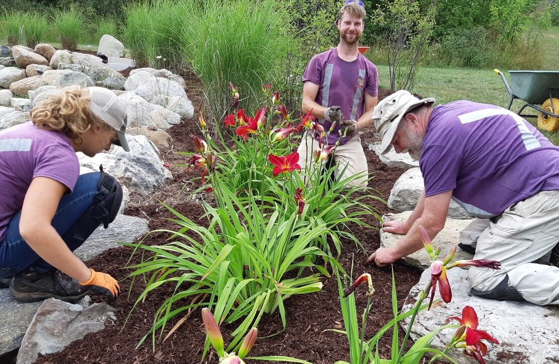 Three people, wearing purple shirts, are gardening outdoors. They plant flowers alongside a stone-edged bed with greenery and a wheelbarrow nearby.
