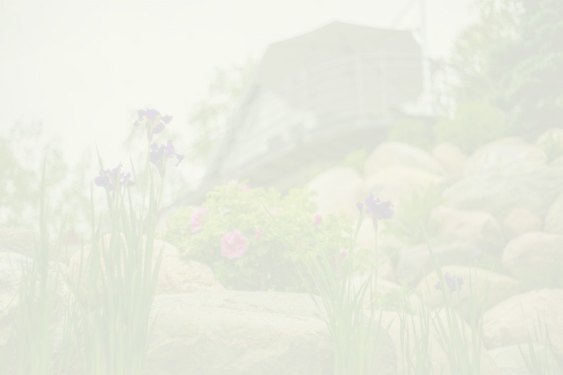 The image is overexposed, featuring purple irises in the foreground, with rocks, other flowers, and a blurred structure in the background.
