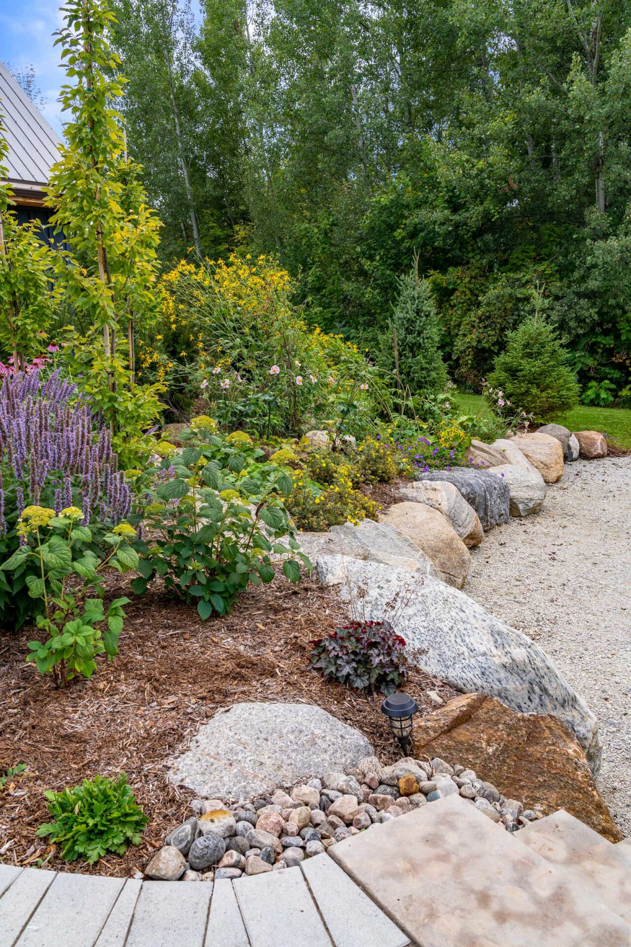 this image shows a low maintenance garden planted with large native perennials