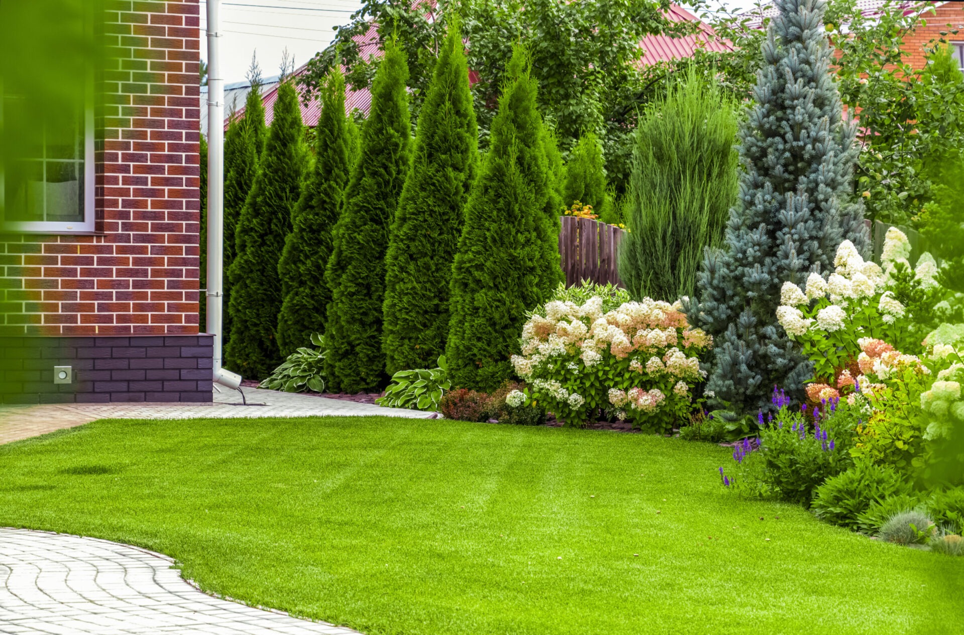 A lawn with turf and surrounding greenery