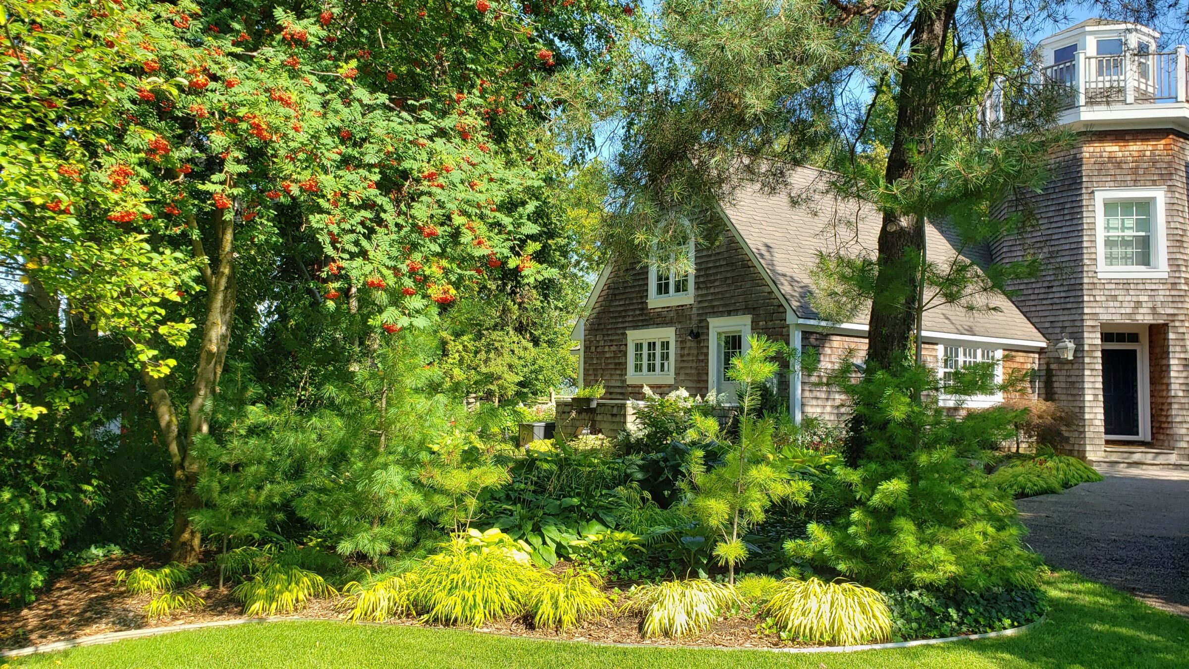 A beautiful, lush green backyard with a house in the background.