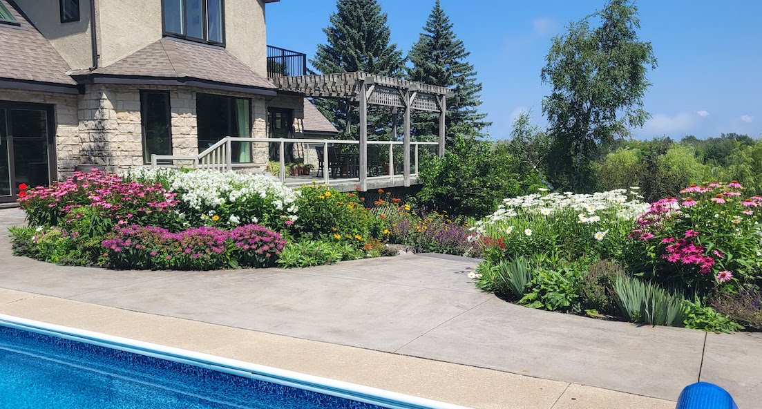 Colorful garden bed filled with white daisies and pink coneflowers borders a curving path overlooking a lush green lawn and a small reflective pond, framed by weeping willows and evergreen trees under a bright blue sky.