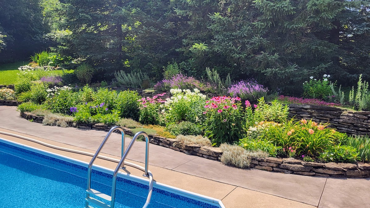 A vibrant flower garden lines the edge of a swimming pool, with blooming pink coneflowers, white daisies, orange daylilies, and purple spikes of salvia set against a backdrop of tall evergreens. The stone-edged garden bed adds texture and separation between the pool deck and the lush, mature plantings.