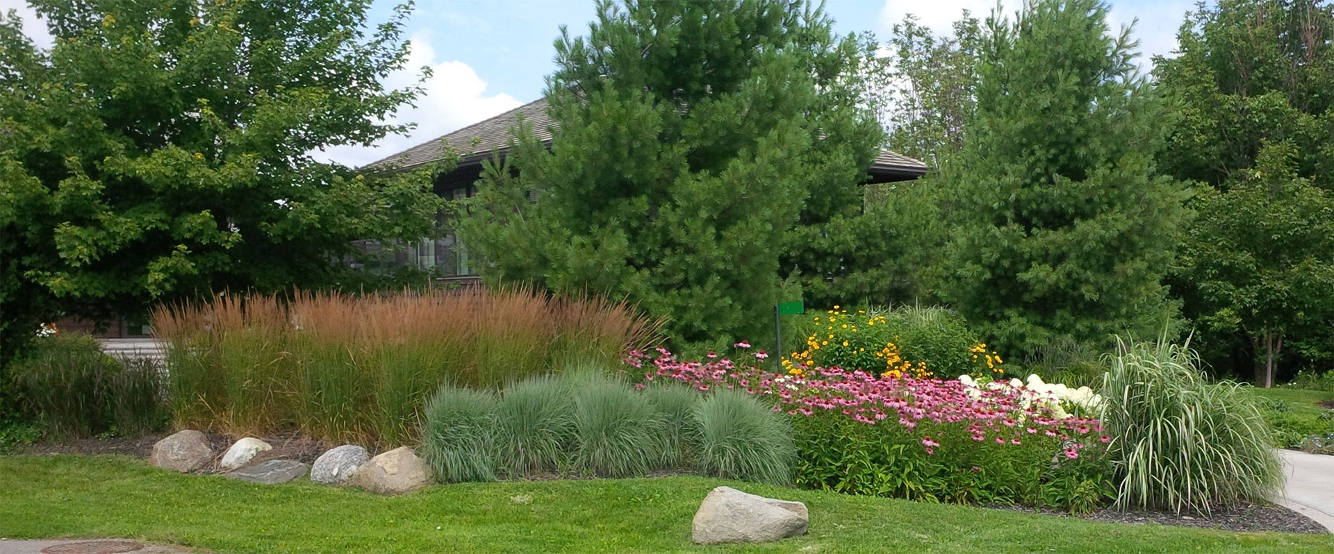 Eco-friendly landscaping ideas using native plant landscaping.