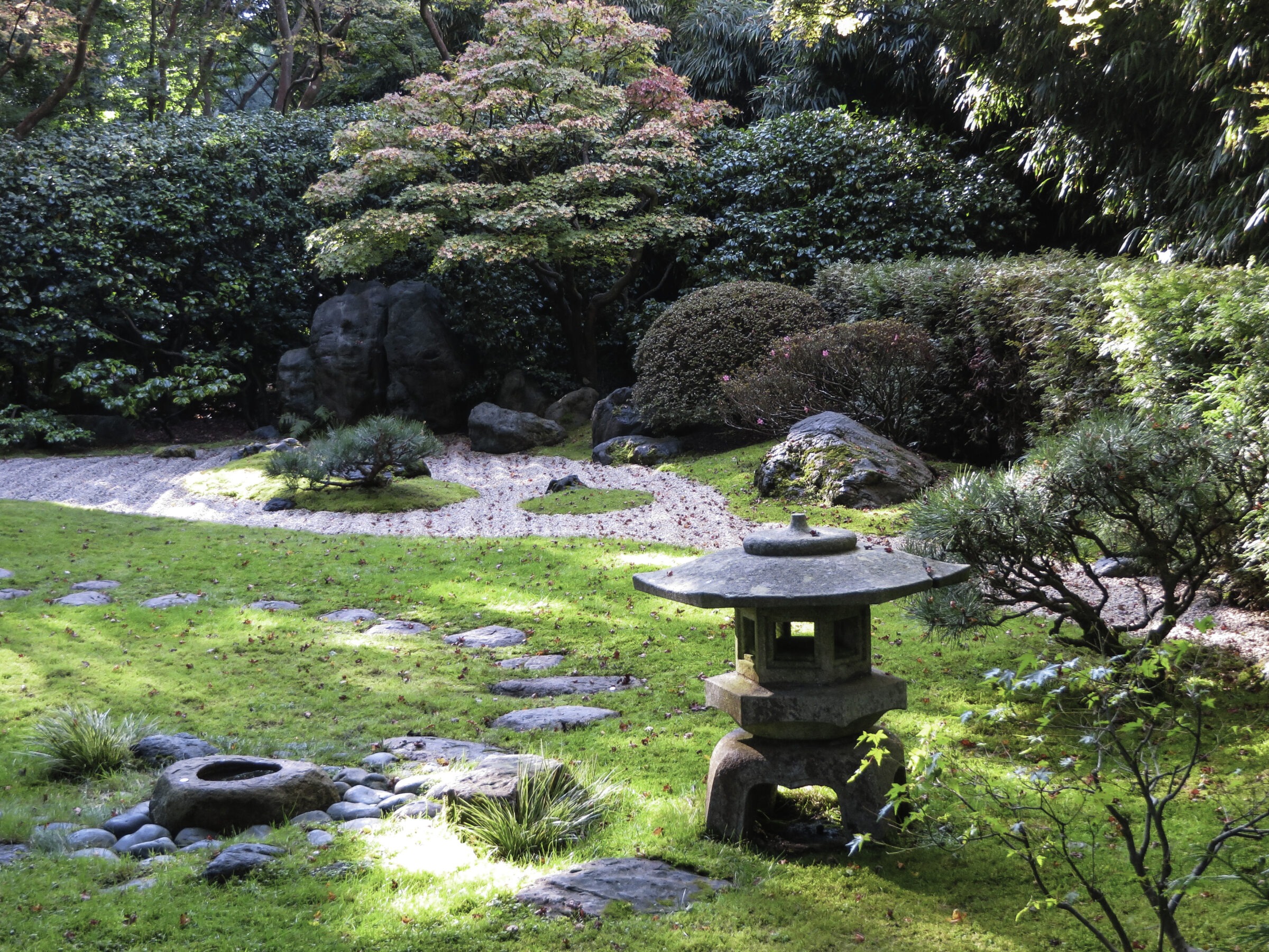 Peaceful Japanese garden with a stone lantern, moss-covered ground, curved gravel path, pruned shrubs, and a maple tree with pink-edged leaves, creating a serene and balanced natural landscape.