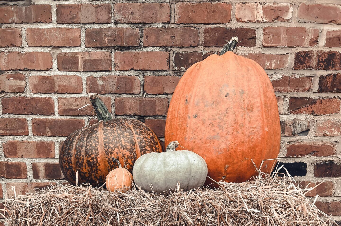 pumpkindecor-9860753