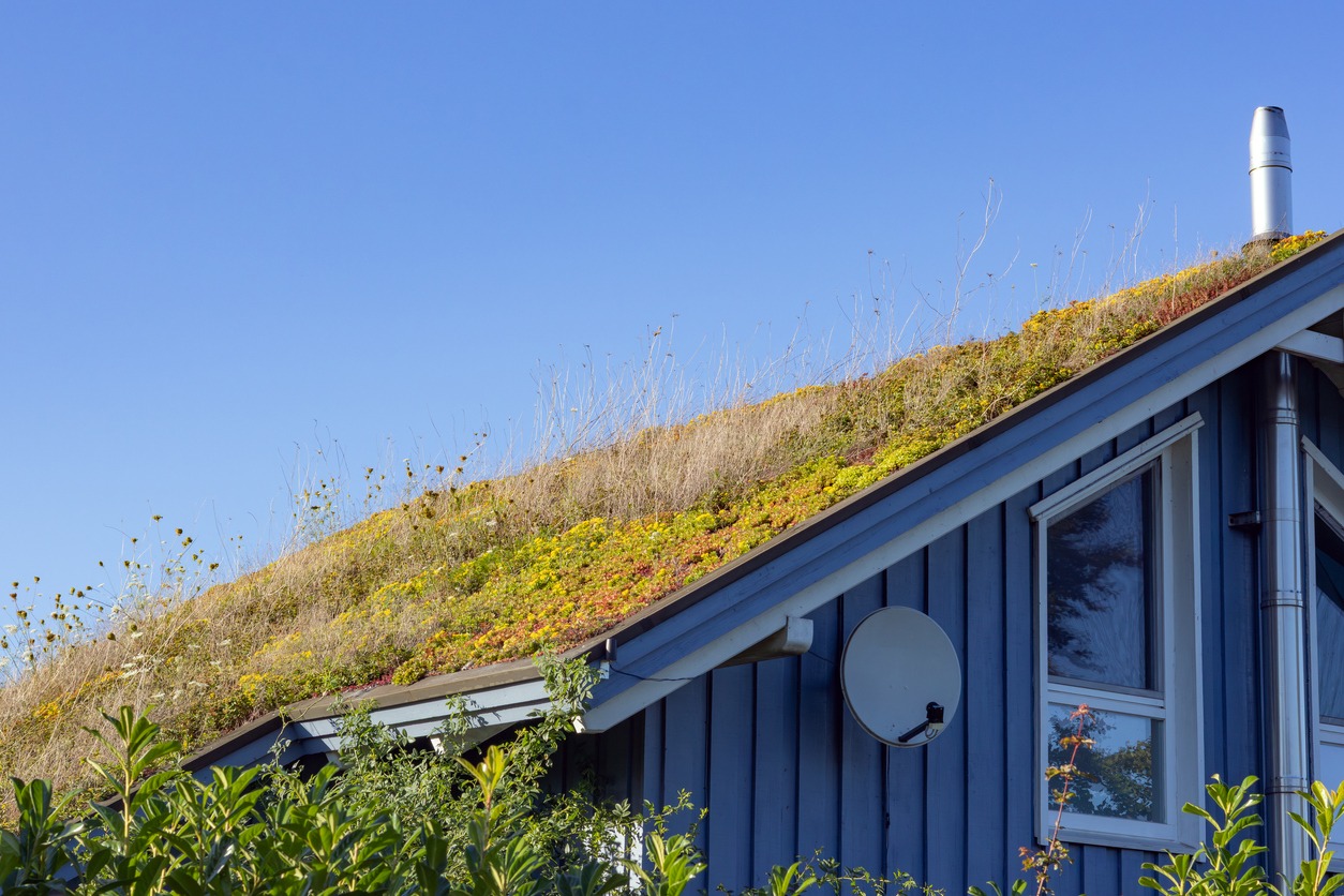 A house with a green roof